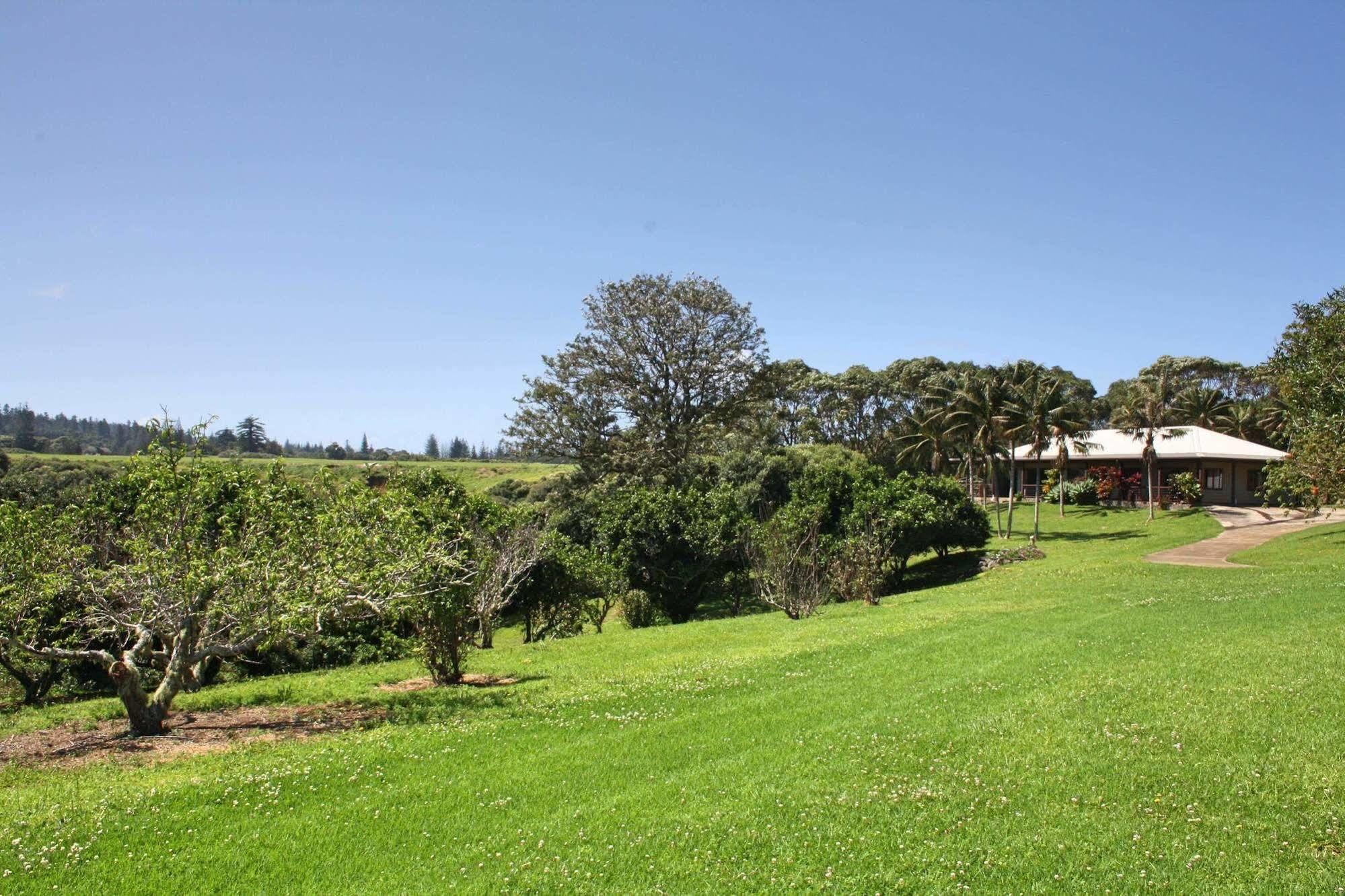 מלון Norfolk Island Tau Gardens מראה חיצוני תמונה